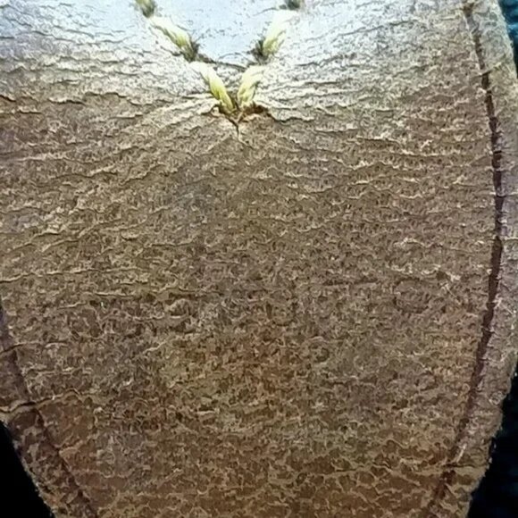 Louis Vuitton LV Boston Bag Keepall 55 Browns Monogram - Picture 6 of 10